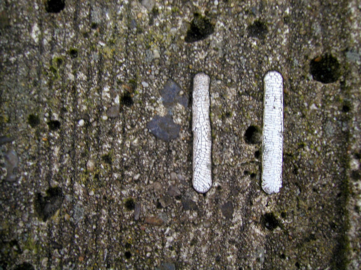 spuren+(1).JPG