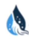 Clean Fitz logo Solid  (3)_edited.jpg