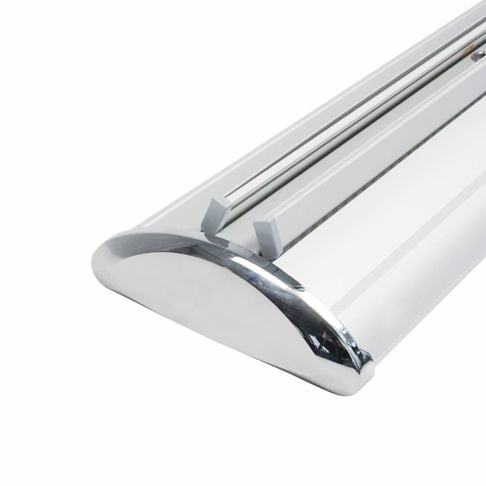 Miniatura: Roll-Up Bifacciale