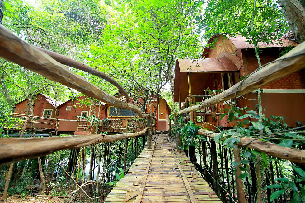 Konni - Adavi Eco Tourism package from Trivandrum