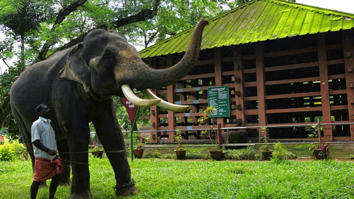 Konni - Adavi Eco Tourism package from Trivandrum