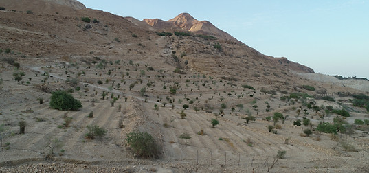 DJI_0090.JPG