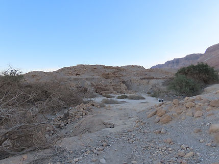 En-Gedi oasis desert landscape. Tel Goren, looking south