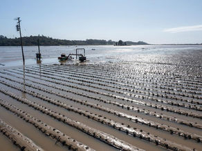 Protecting Crops from Inclement Weather