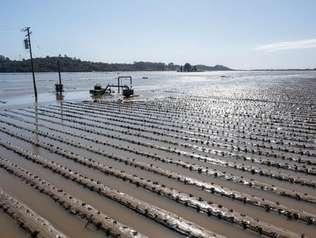 Protecting Crops from Inclement Weather