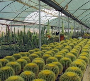 greenhouse_edited.png