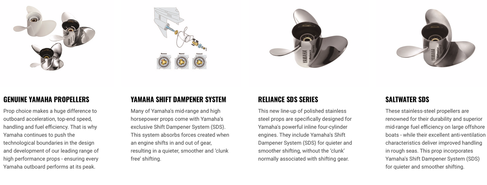 Screen Shot 2021-02-11 at 12.58.51 PM.png