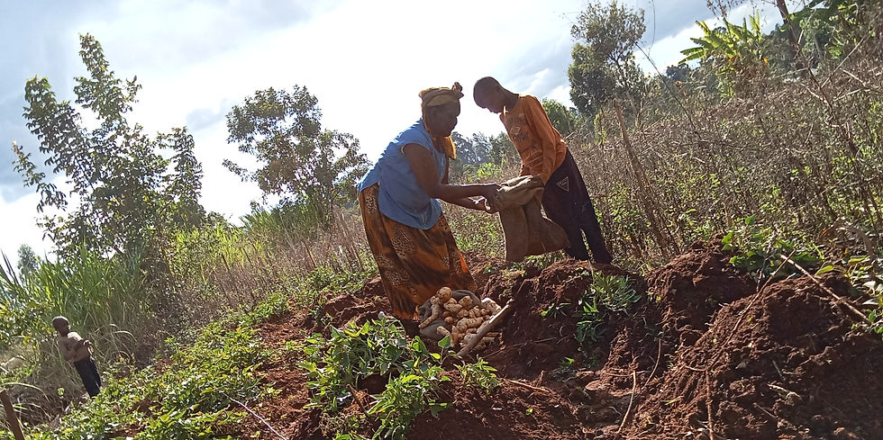 Mother and young child farming sweet potatos in Kenya