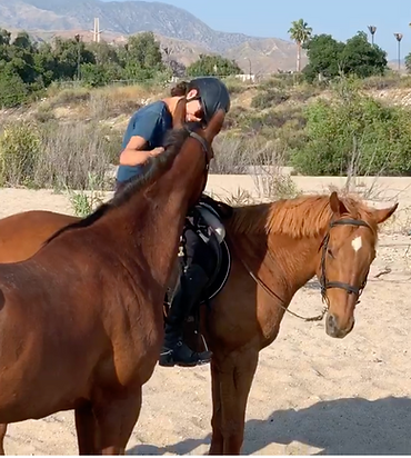 Ponying.png