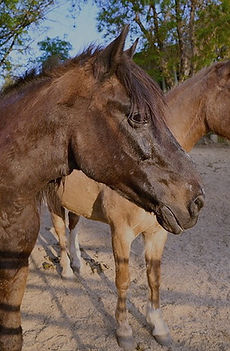 47628BF0-771F-4492-9917-550AD7620AD3_4_5