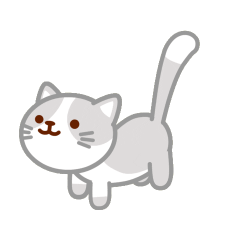 IMG_3927.GIF
