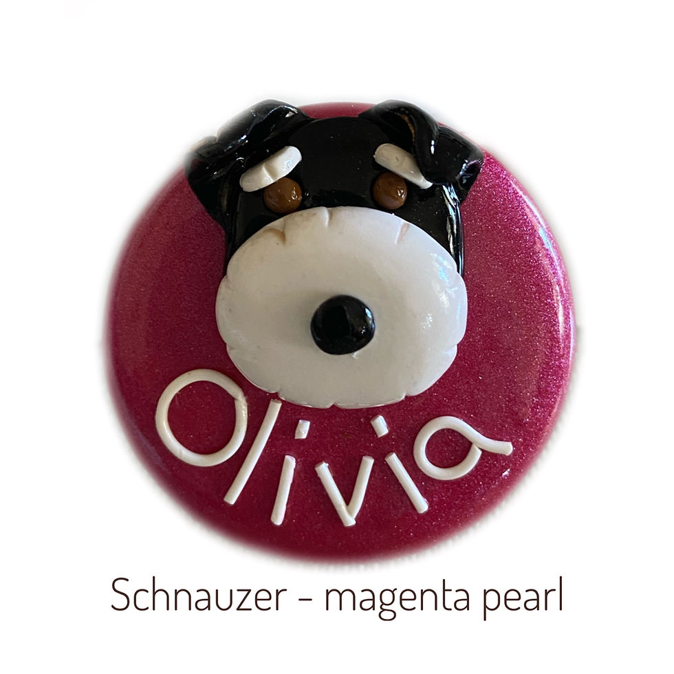 Thumbnail: Dog Schnauzer