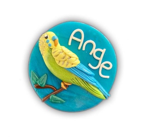 Budgie