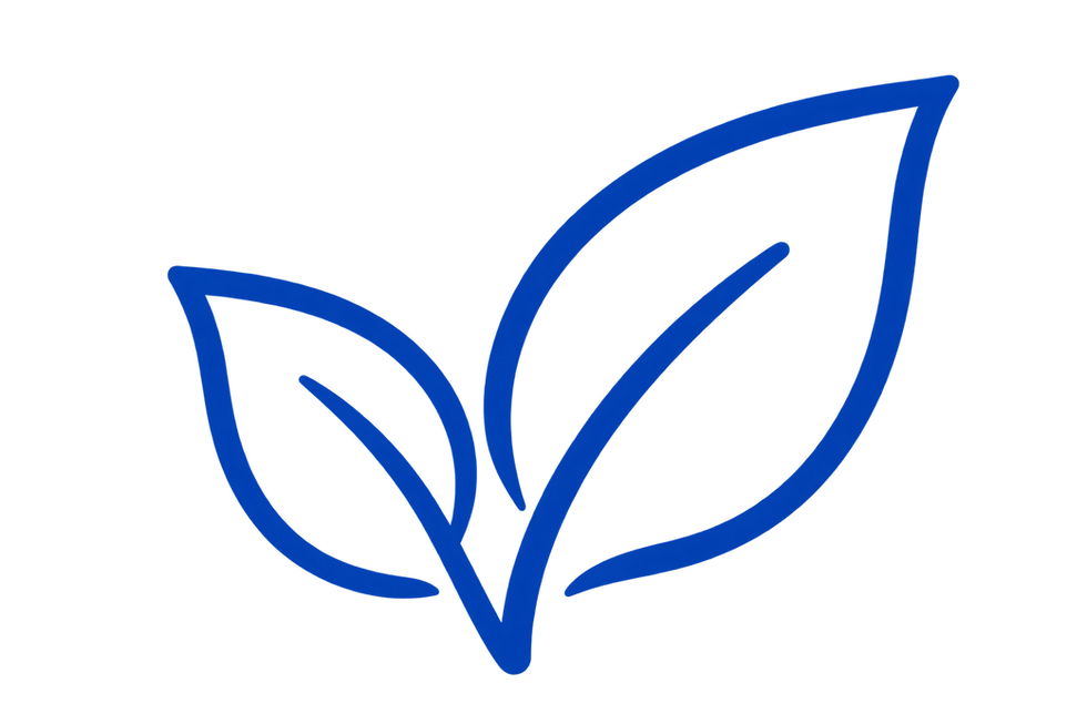 file_00000000eec081f993620f7cc2700b83.png