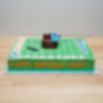 Miami Dolphins Birthday Cake