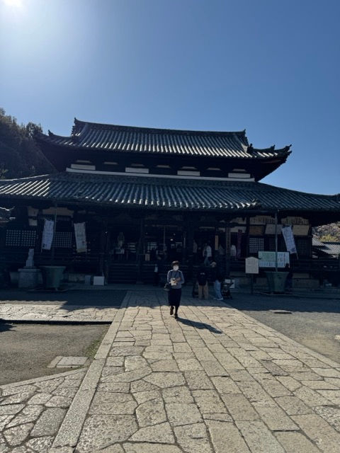 春の光に包まれて。静けさの中に広がる、やわらかな景色。