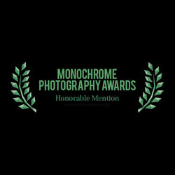 Monochrome photography awards