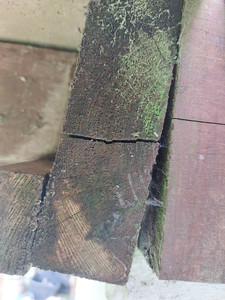 Wall plate split and nailed loose