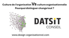Culture de l'organisation VS Culture organisationnelle
