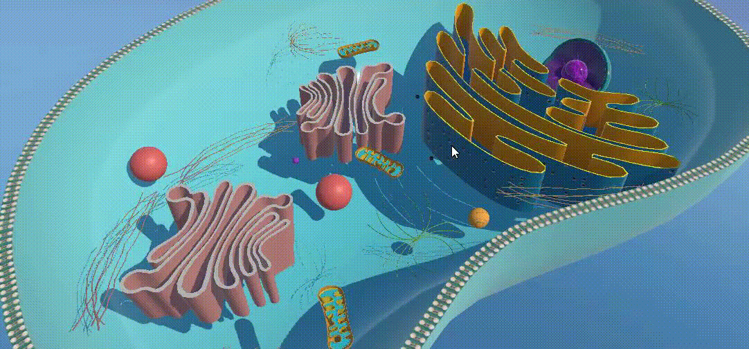 Interactive Encyclopedia