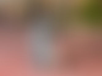 Spotlight On- Ada Bobola!