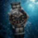 Omega Diver 300M underwater close-up.png