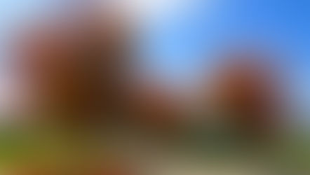 篠原金融塾　グローバルマーケットウィークリー 11/21/2025