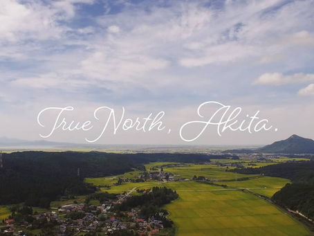 True North Akita