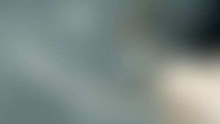 🐈外猫さんの人生？いや、猫生？🐈