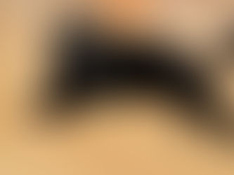 🐈⬛ 実家の猫たち 🐈