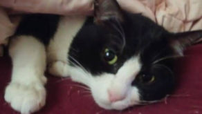 年齢制限⁉️失礼しちゃう💢