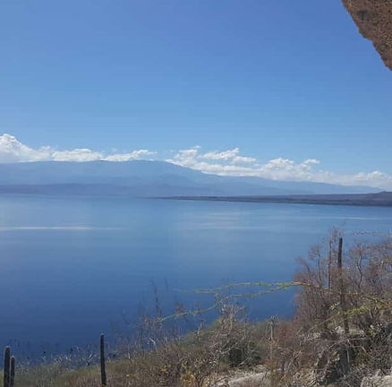 IMG-20191109-WA0024.jpg