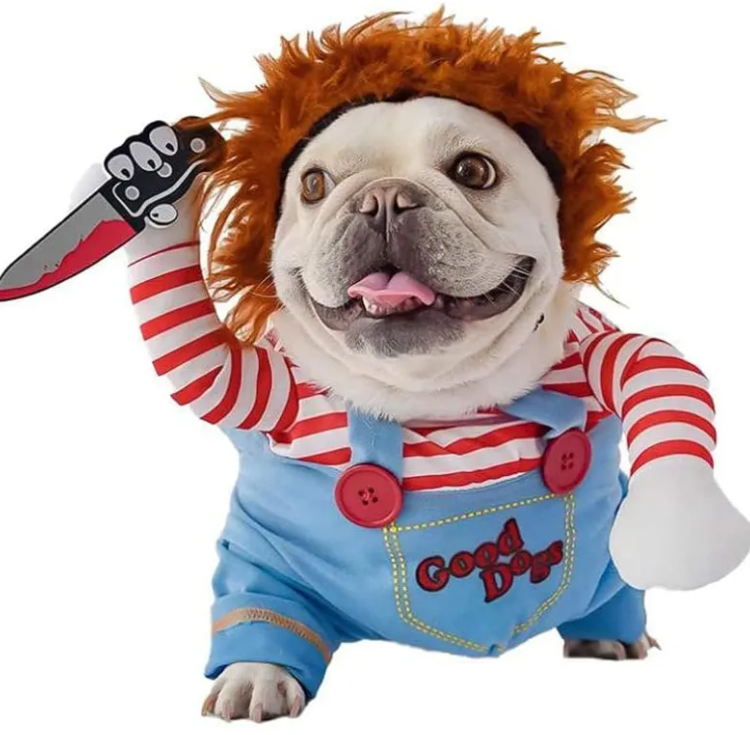 Thumbnail: Pets Halloween 3-piece Set