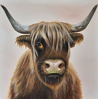 Hirsute