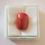 Thumbnail: 9.89 Ratti | 9 Ratti | 9.5 Ratti | Natural | Italian | Red Coral | Lal | Moonga
