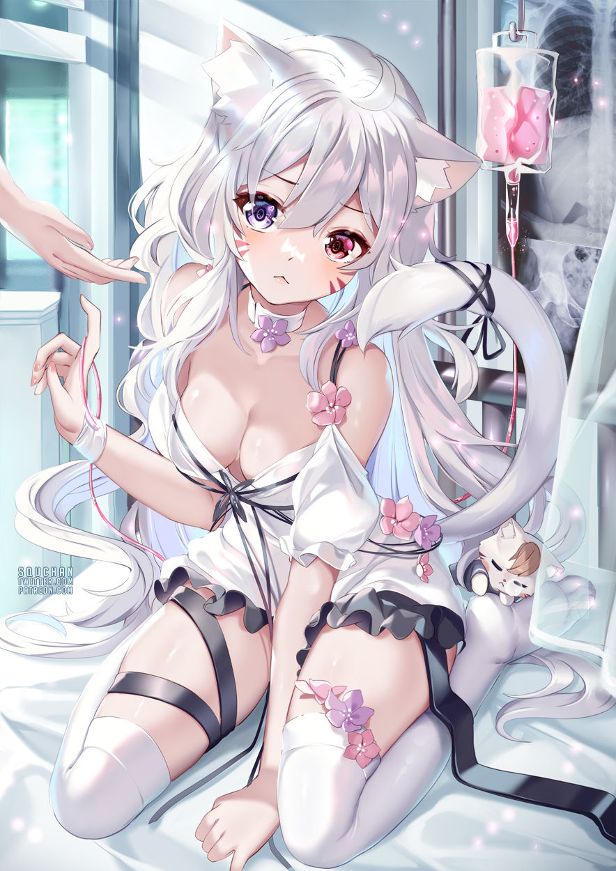 Thumbnail: Shyrei Faolan - White Cat