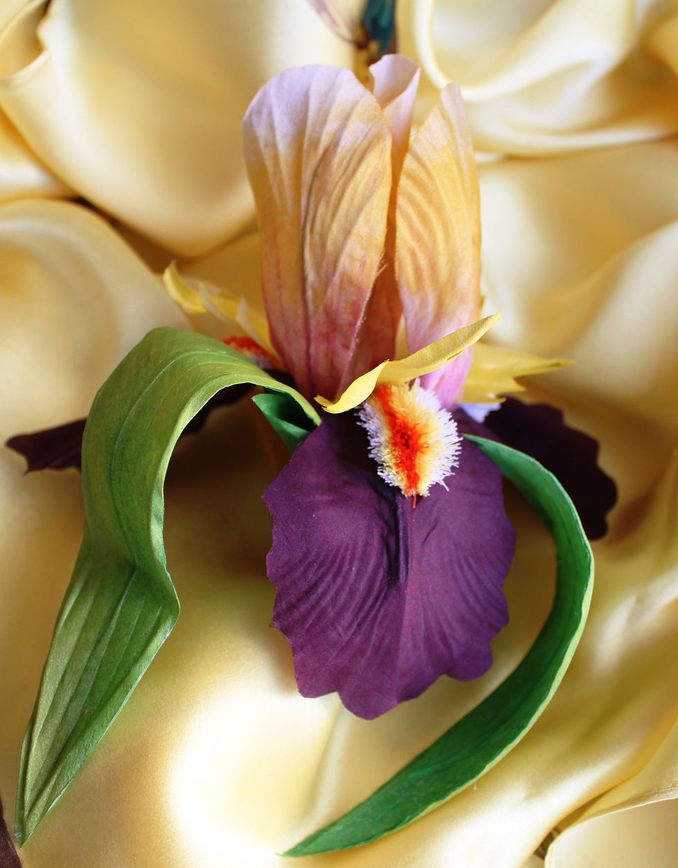 Thumbnail: IRIS