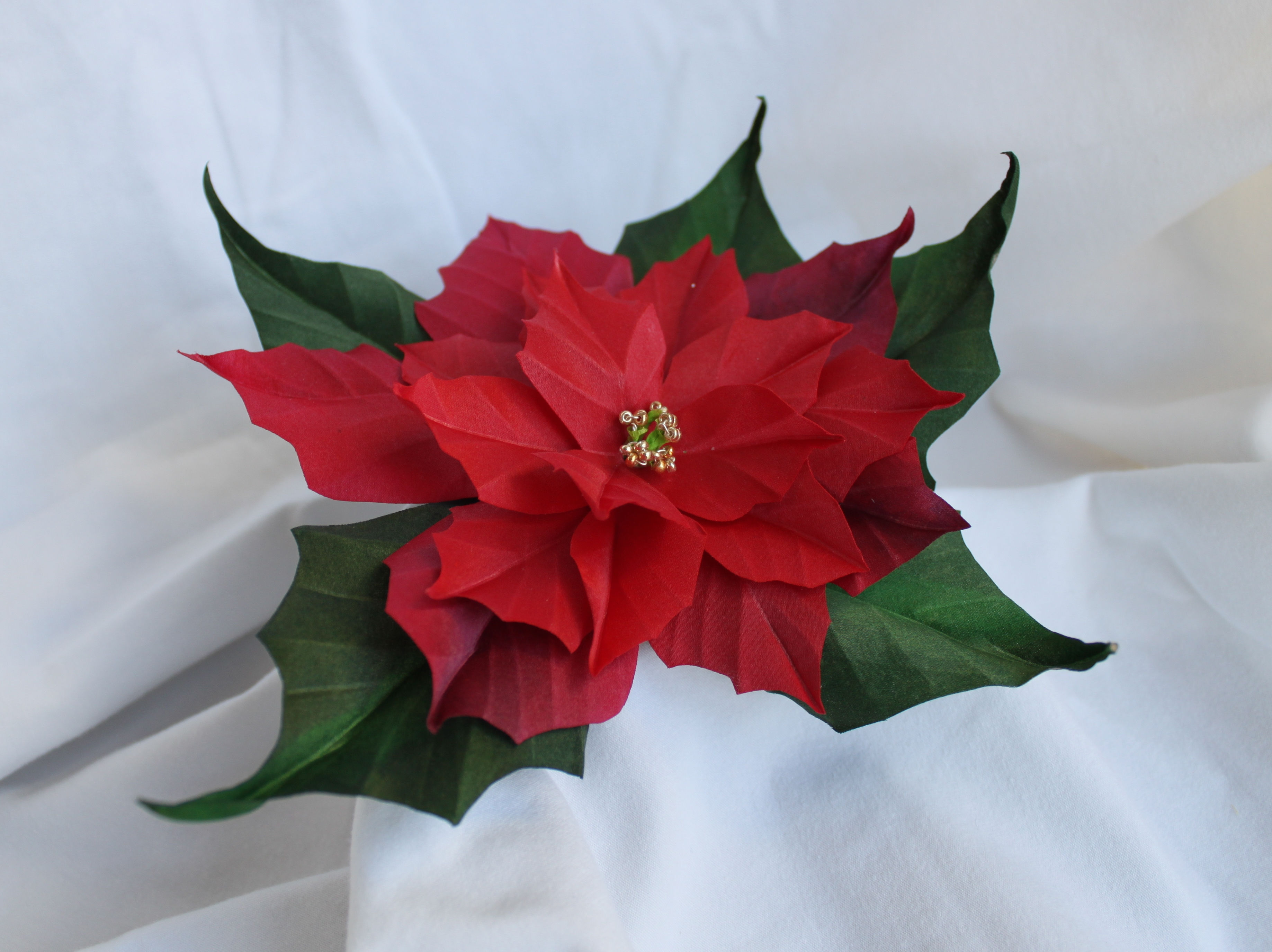 Poinsettia (Christmas star)