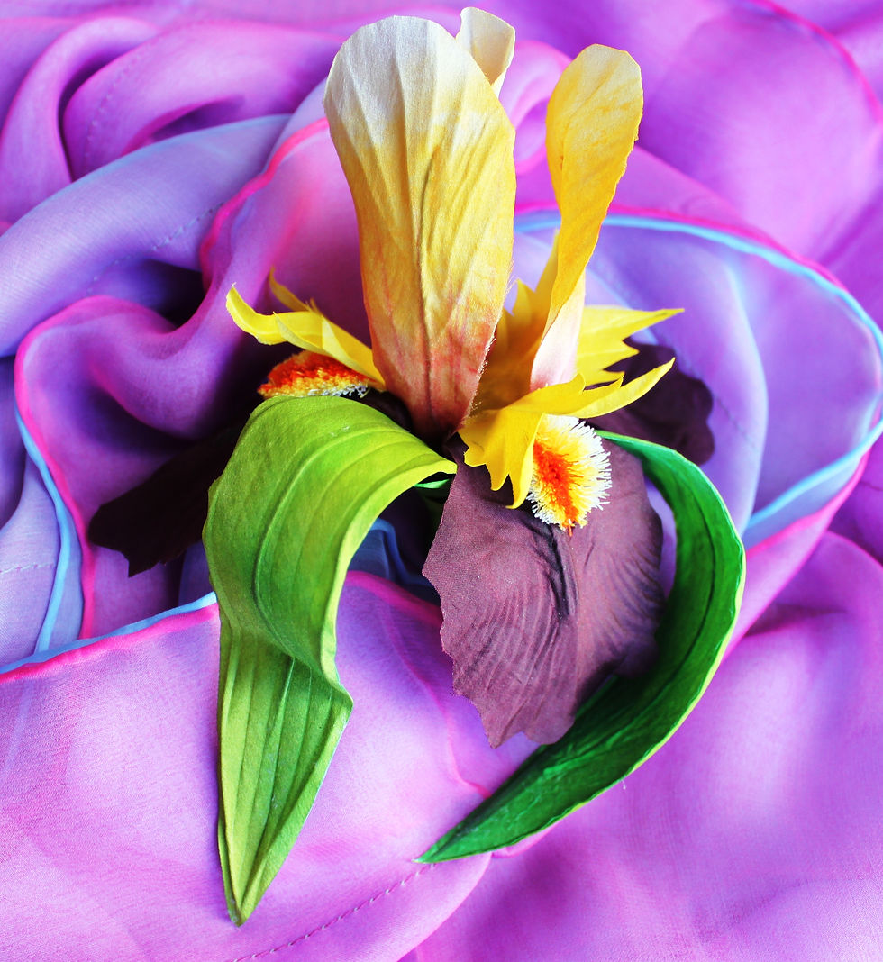 Thumbnail: IRIS