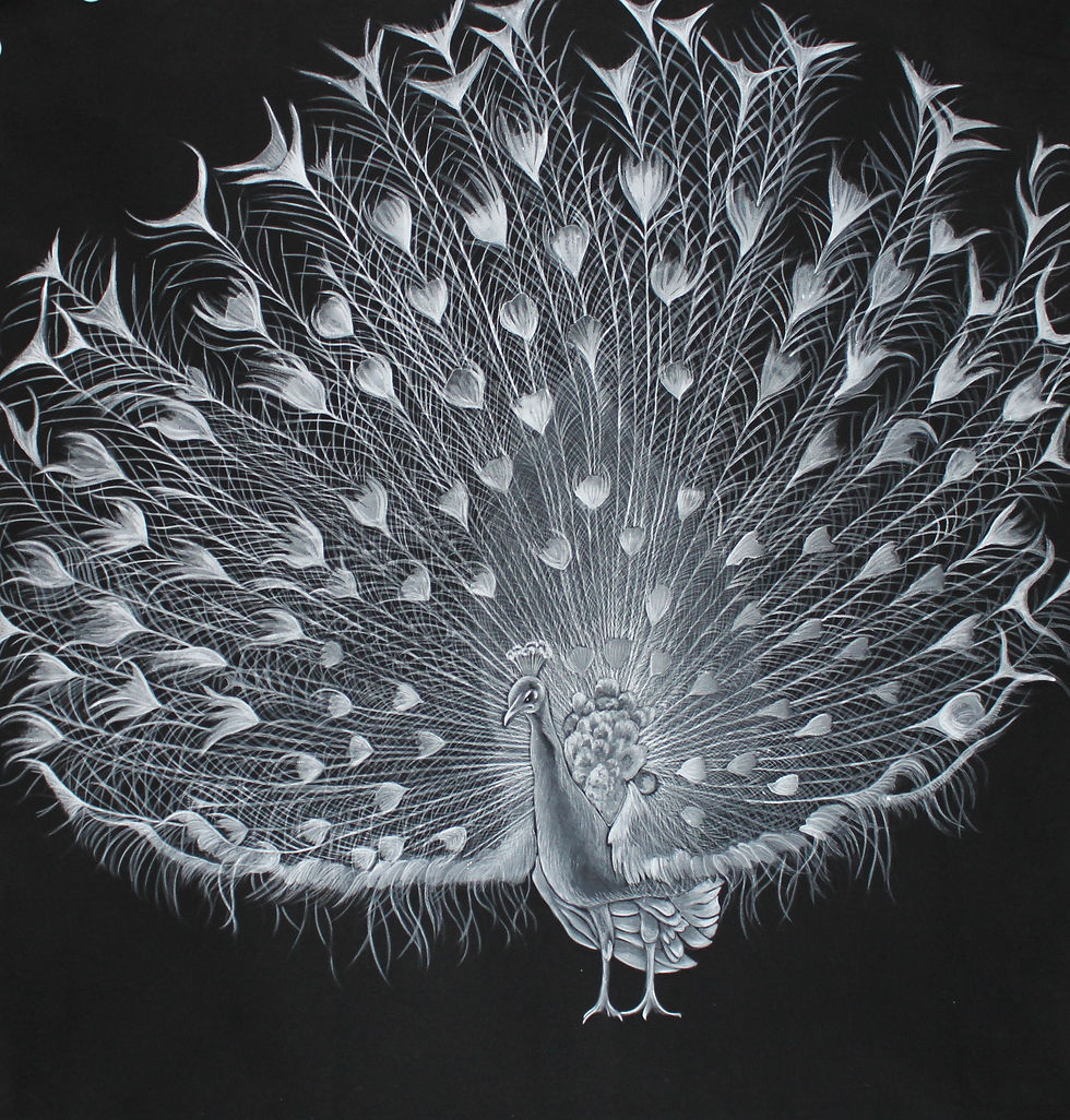 Thumbnail: "White peacock on a black chiffon"