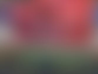 Una aventura con SpaceX: Life On Mars