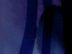 Untitled - Speechless