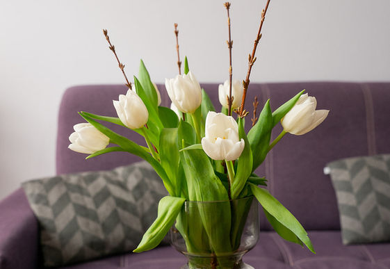 Superior pokoj Fialka