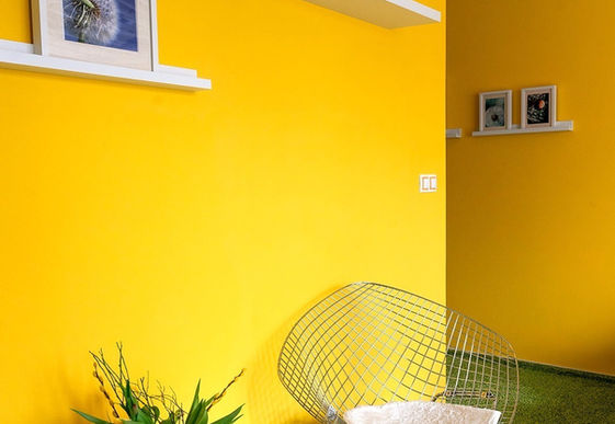 Superior pokoj Pampeliška