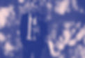 SLA_BG_edited.jpg