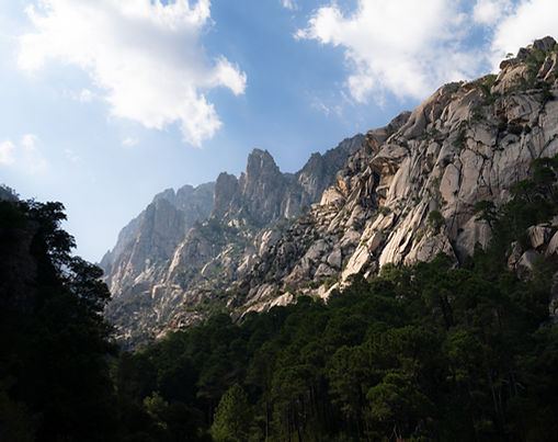 Corsica
