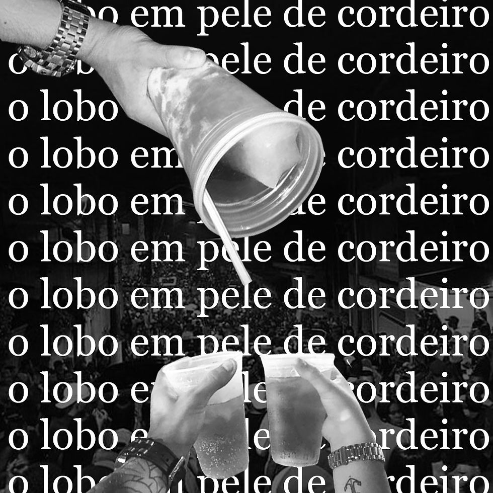 O lobo em pele de cordeiro