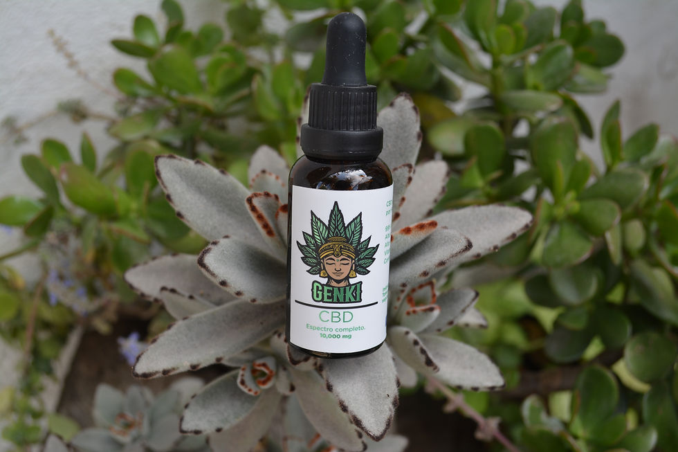 Gotero de aceite de cáñamo con CBD, tenemos de 2,000 y 10,000 miligramos