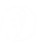 IMG_7361.PNG