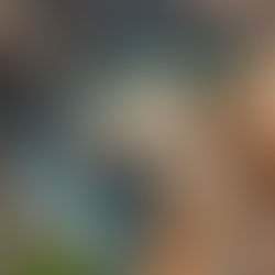 Sustainable Mining and Environmental Compliance in India